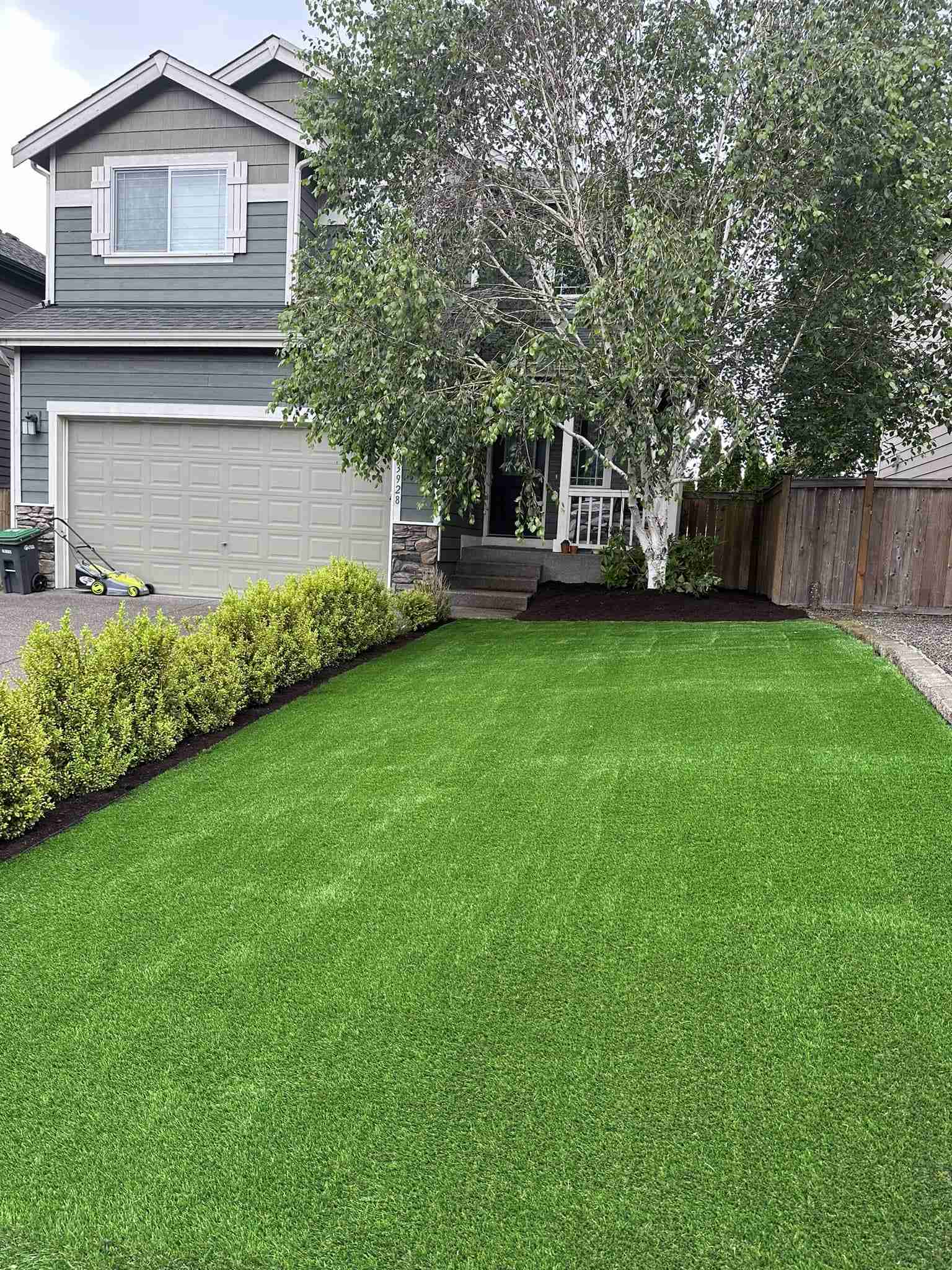 The Blue Alder Side Yard Turf (8)